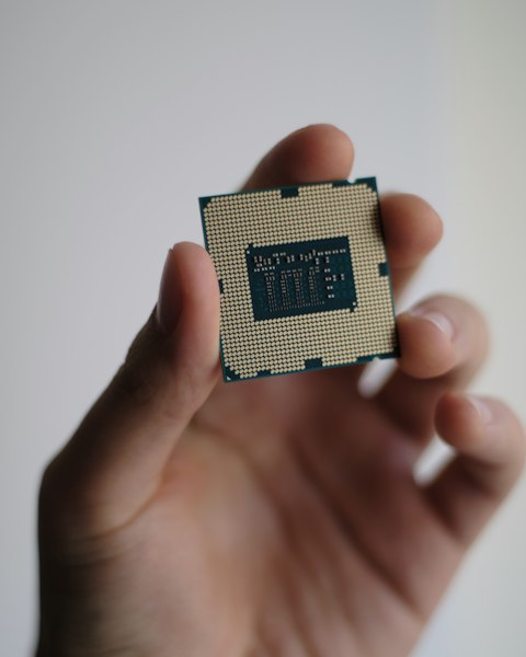Processor held in the hand, critical electronic component